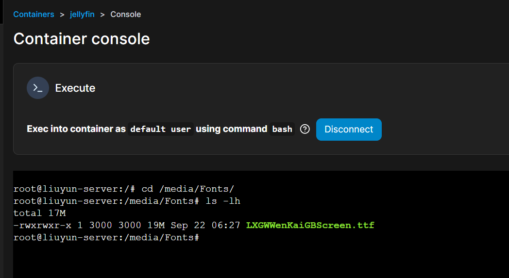 Jellyfin中可以看到该字体文件